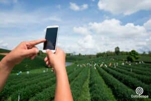 foto en campo de cultivo