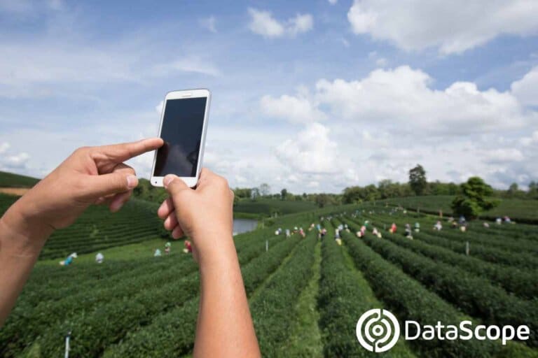 fotografía a un cultivo